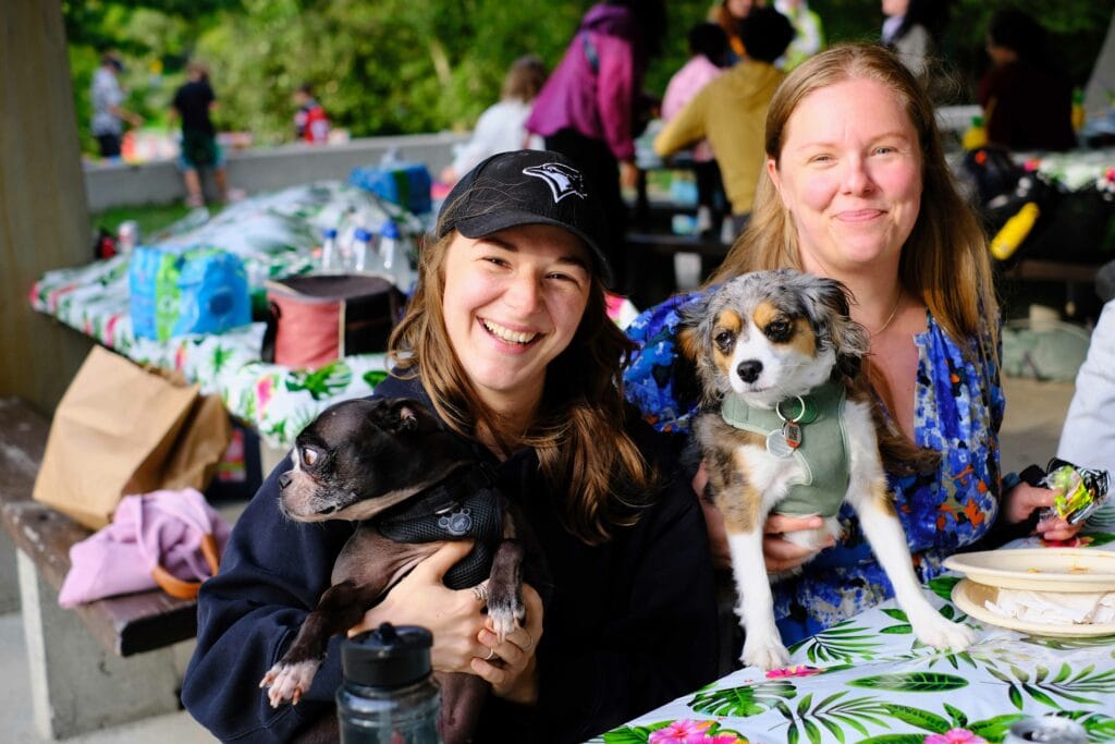 Photos of ThoughtFarmer staff and their dogs enjoying our summer picnic.