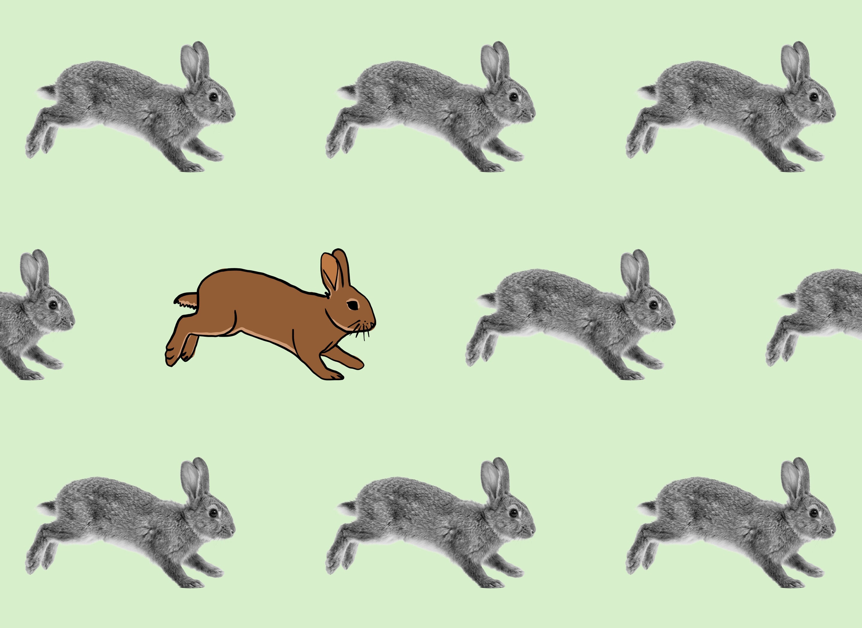 Illustration of a single brown bunny standing out against a repeating pattern of grey bunnies, representing speed and proliferation.
